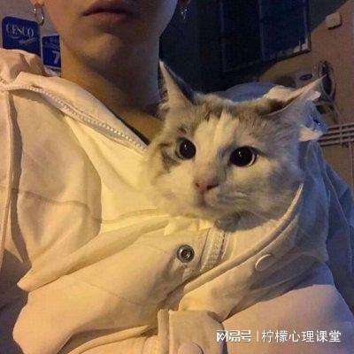 幻剑剑心qq版下载
