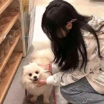 王者怒斩安卓果盘版下载